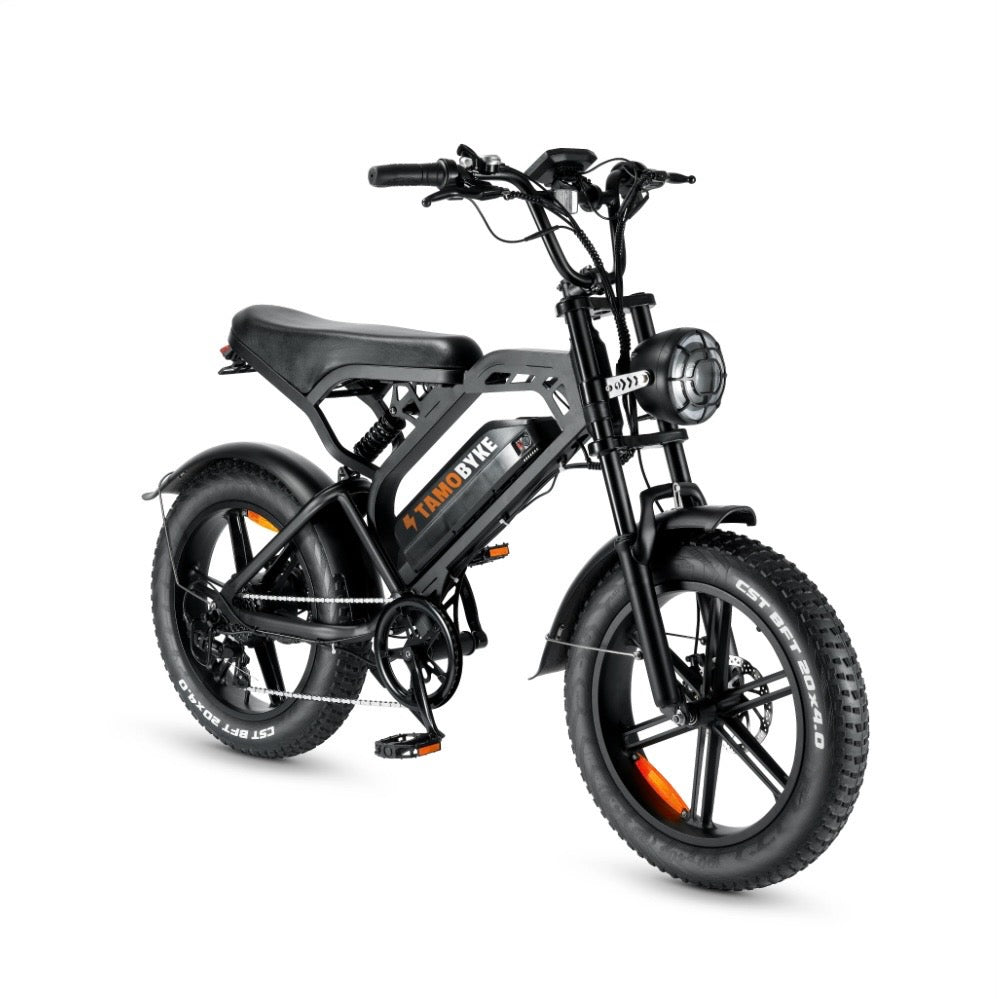 Vélo électrique Fat bike 750W | 45 km/h | Batterie 48V 15Ah | Pneus larges 20 pouces