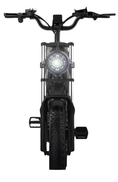 Vélo électrique Ridstar Q20  1000W/2000W