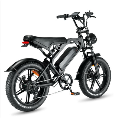 Vélo électrique Fat bike 750W | 45 km/h | Batterie 48V 15Ah | Pneus larges 20 pouces