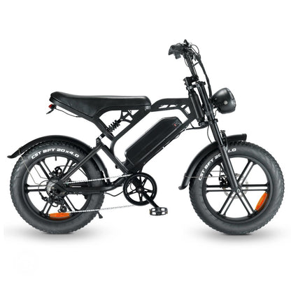 Vélo électrique Fat bike 750W | 45 km/h | Batterie 48V 15Ah | Pneus larges 20 pouces