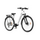 OT07 250W city electric bike