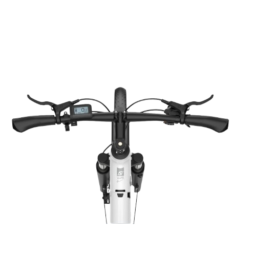 OT07 250W city electric bike