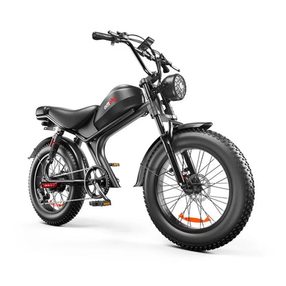 Vélo électrique Fatbike C93 250W/500W/1000W/2000W