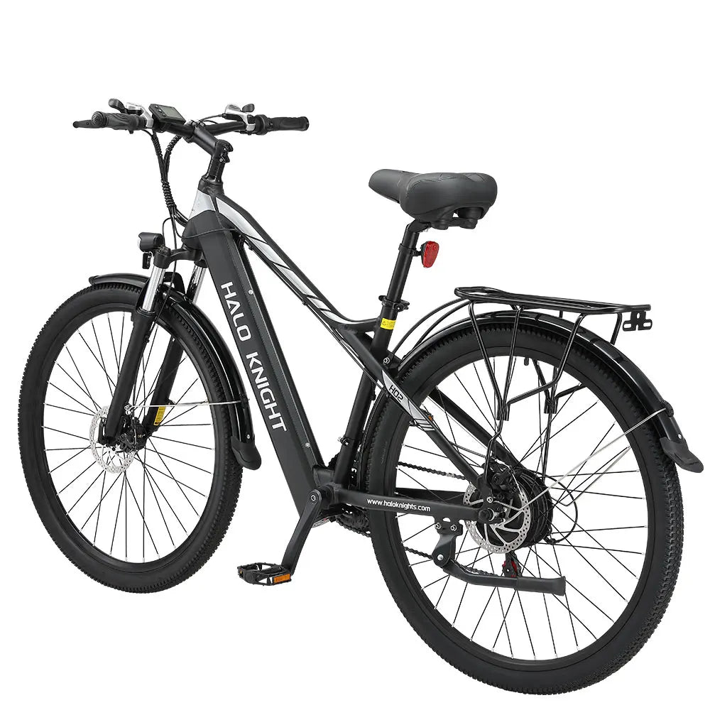 Vélo électrique de ville 750W