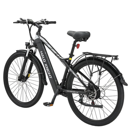 Vélo électrique de ville 750W