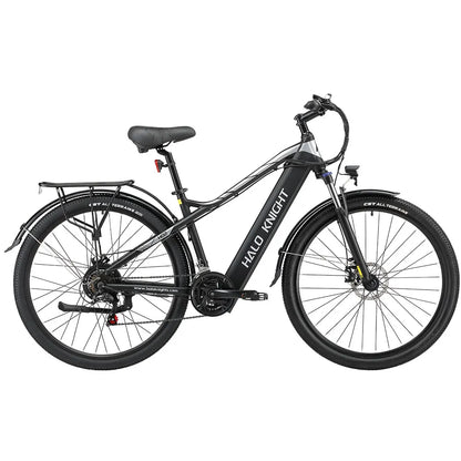 Vélo électrique de ville 750W